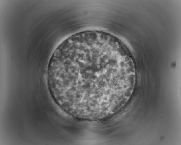 X0000100420895200807032058