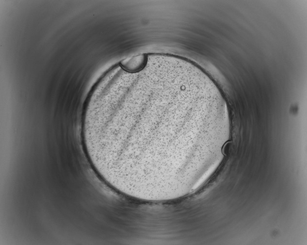 X0000100420896200807032058