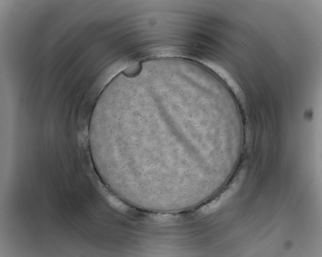 X0000100420897200807032058