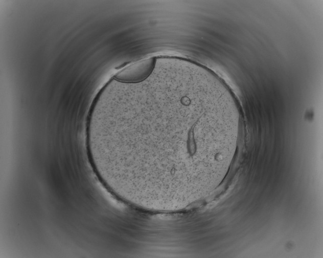 X0000100420898200807032058