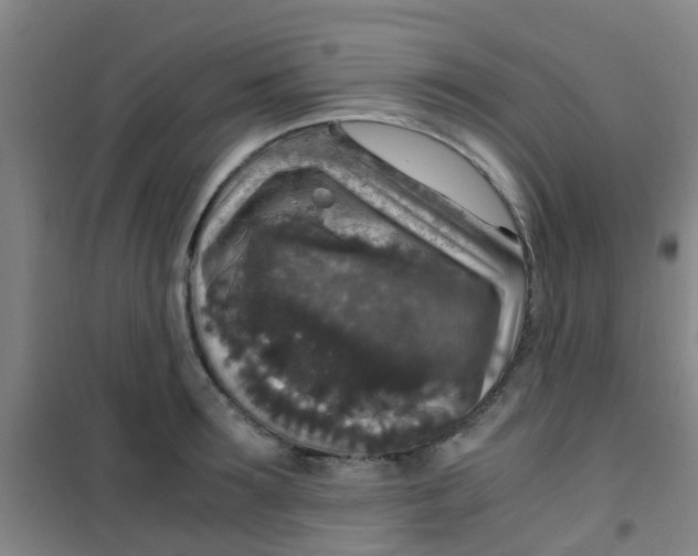 X0000100420899200807032058