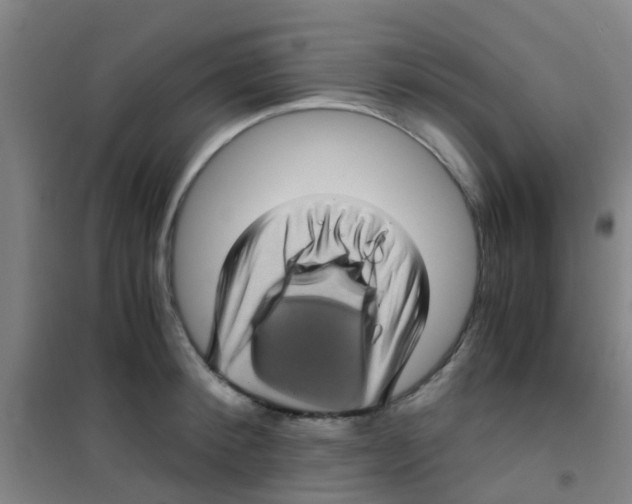 X0000100420900200807032058