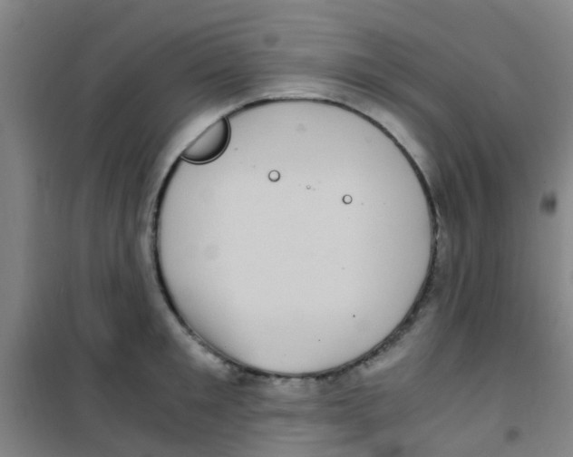 X0000100420901200807032058