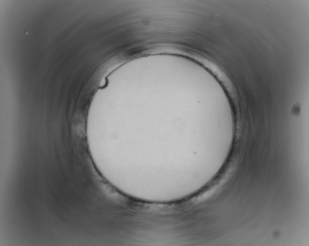 X0000100420905200807032058