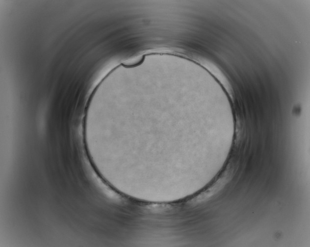 X0000100420906200807032058