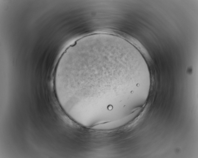 X0000100420908200807032058