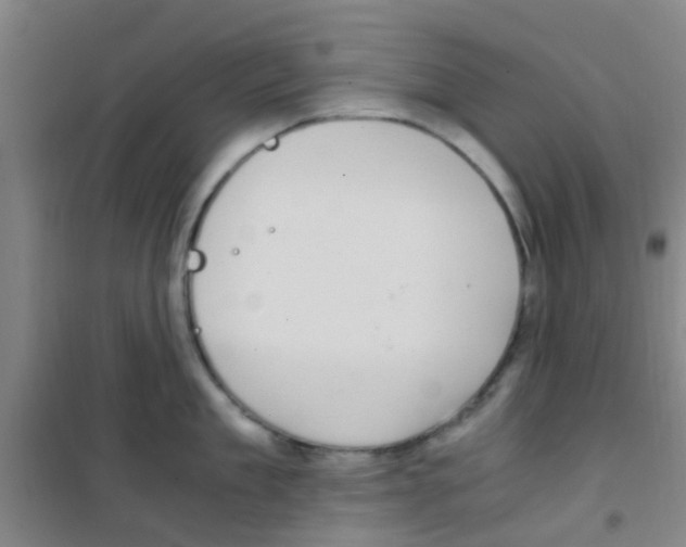 X0000100420909200807032058