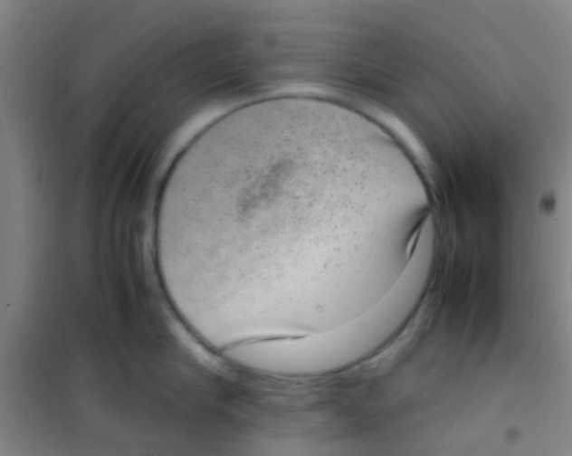 X0000100420910200807032058