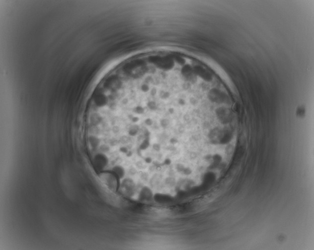 X0000100420911200807032058