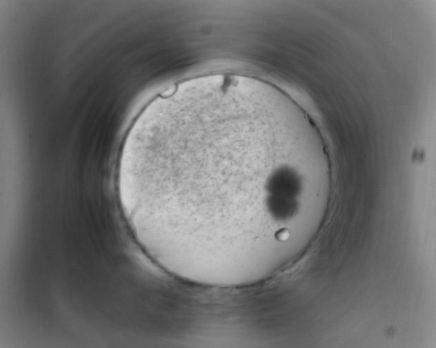 X0000100420912200807032058