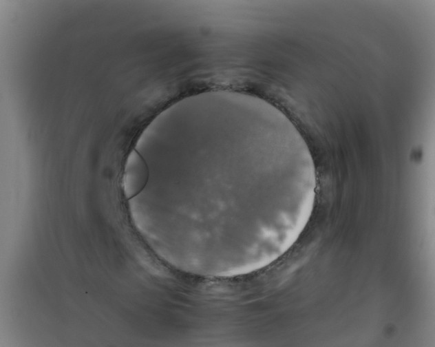 X0000100420913200807032057