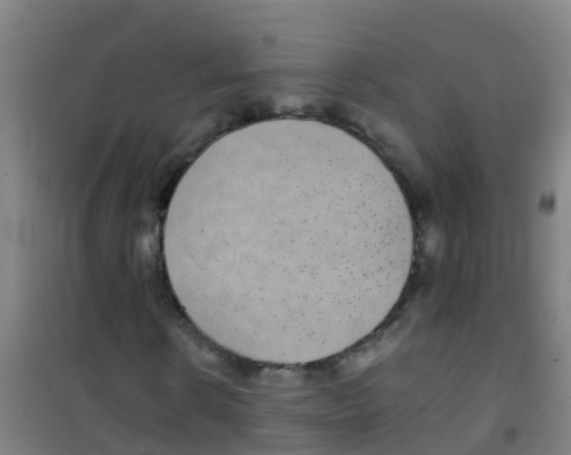 X0000100420914200807032057