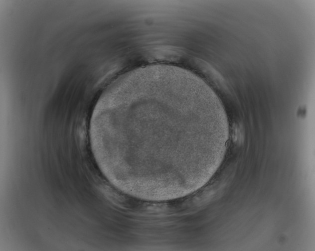 X0000100420915200807032057