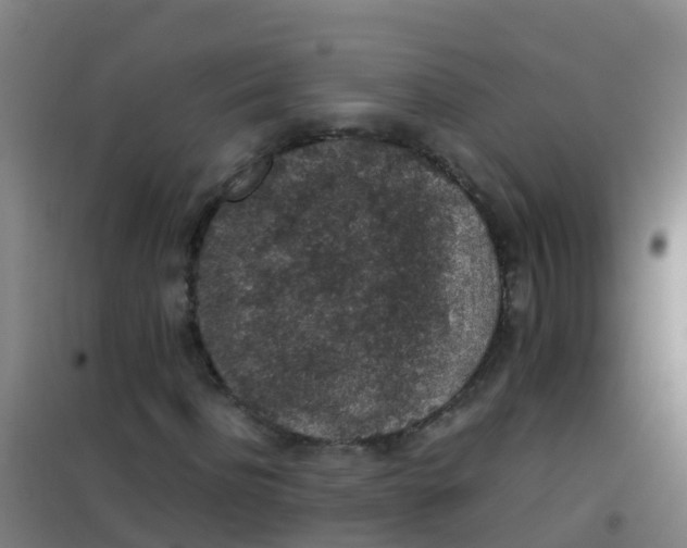 X0000100420916200807032057