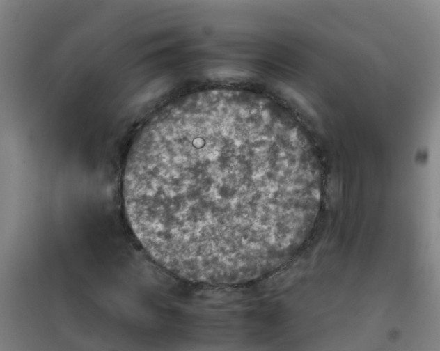 X0000100420917200807032057