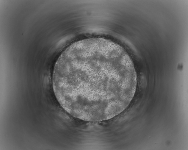 X0000100420918200807032057