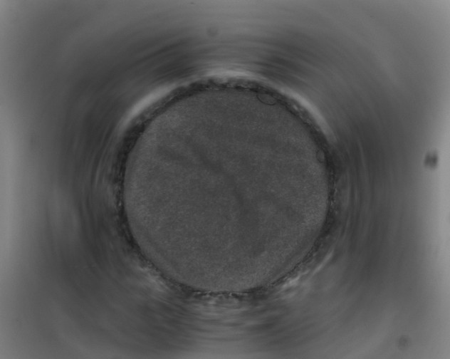 X0000100420919200807032057