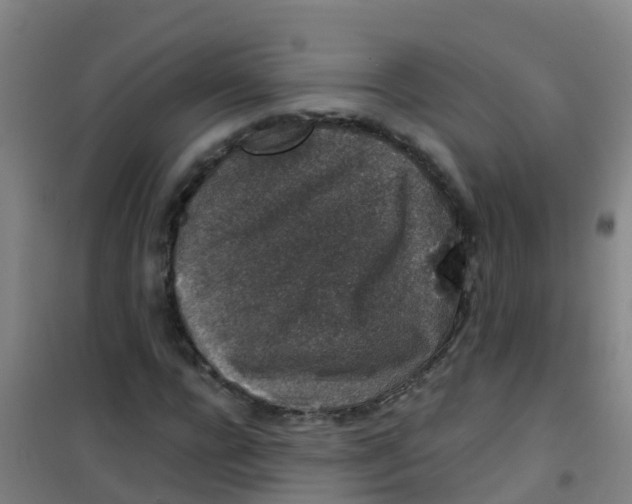 X0000100420920200807032057