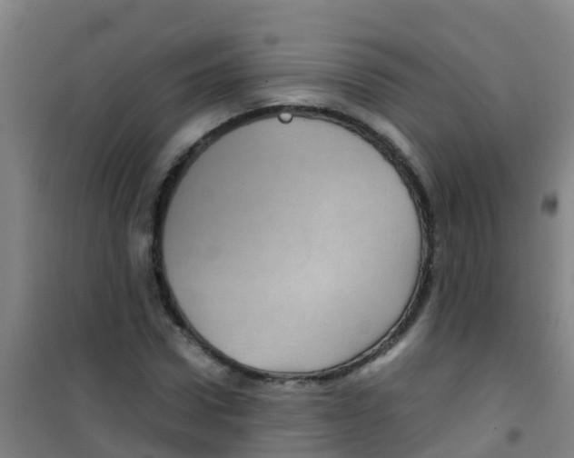 X0000100420922200807032057