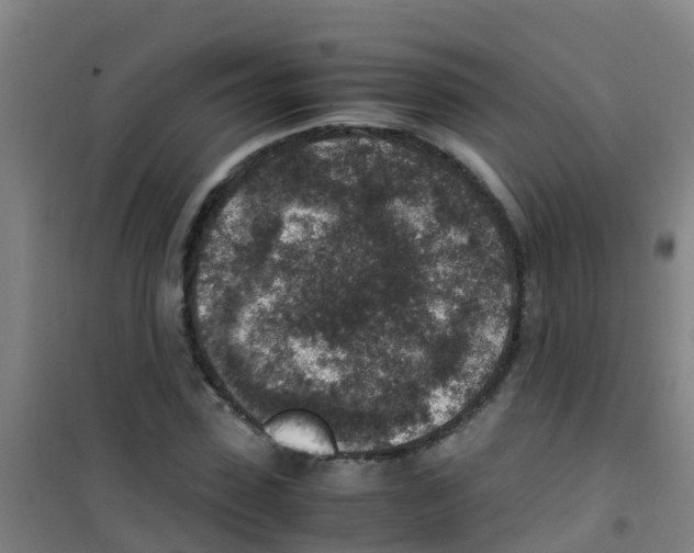 X0000100420923200807032057