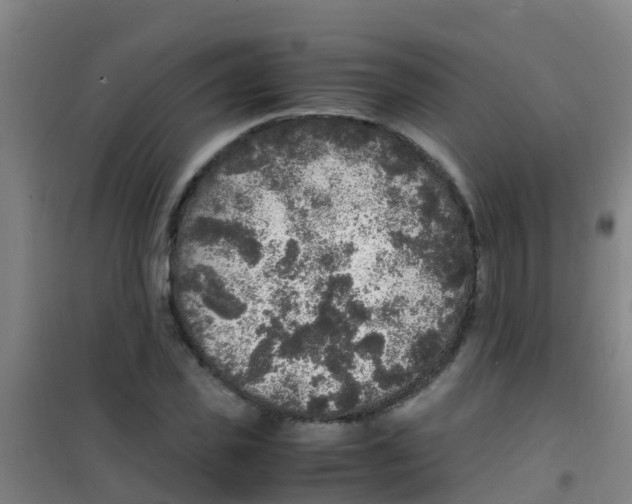 X0000100420925200807032057