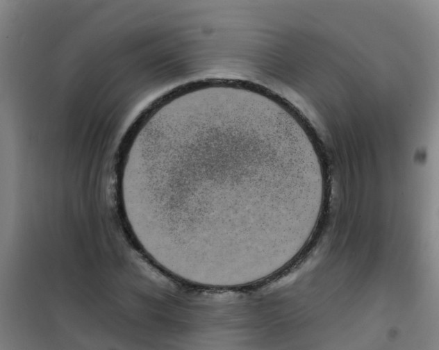 X0000100420926200807032057