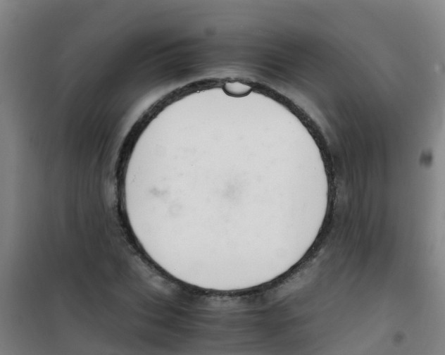 X0000100420927200807032057