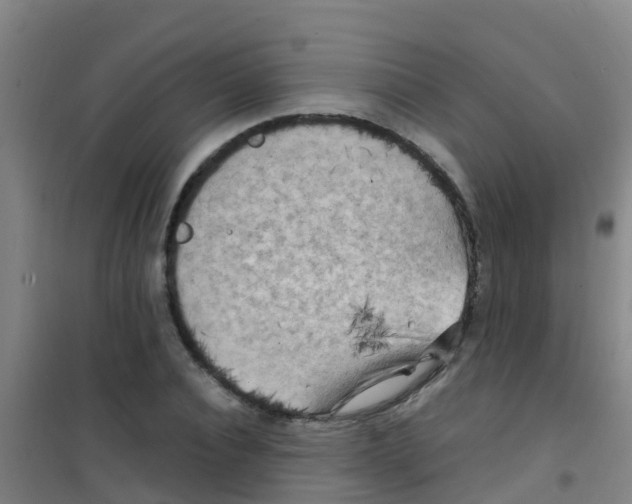 X0000100420928200807032057