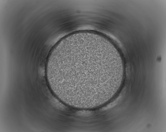 X0000100420929200807032057