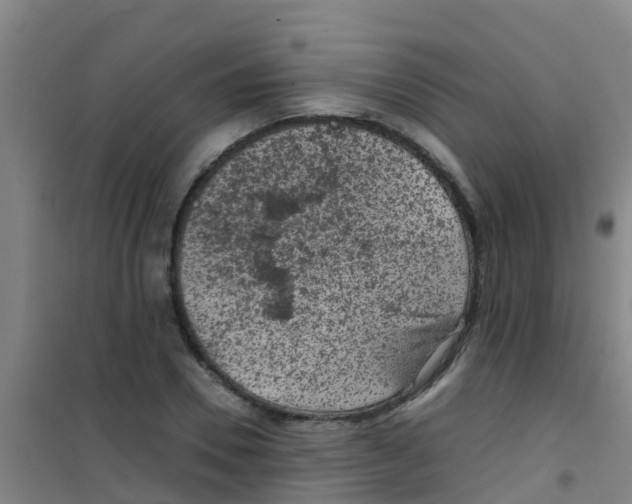 X0000100420930200807032057