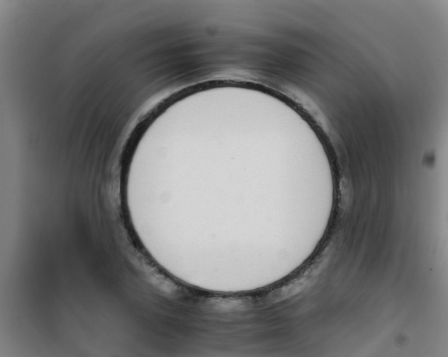 X0000100420931200807032057