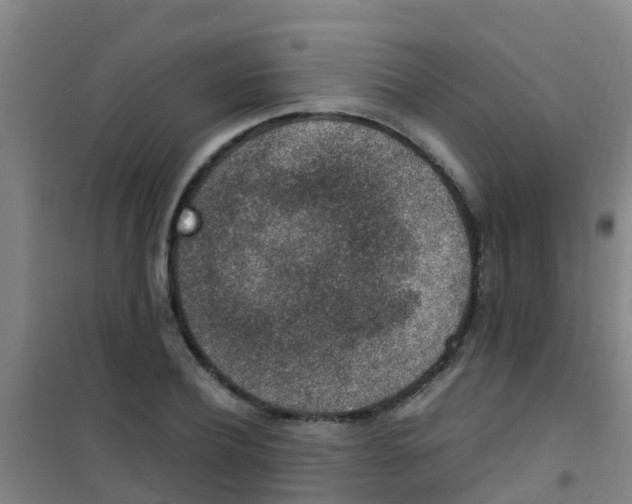 X0000100420932200807032057