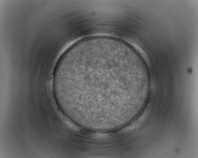 X0000100420933200807032057