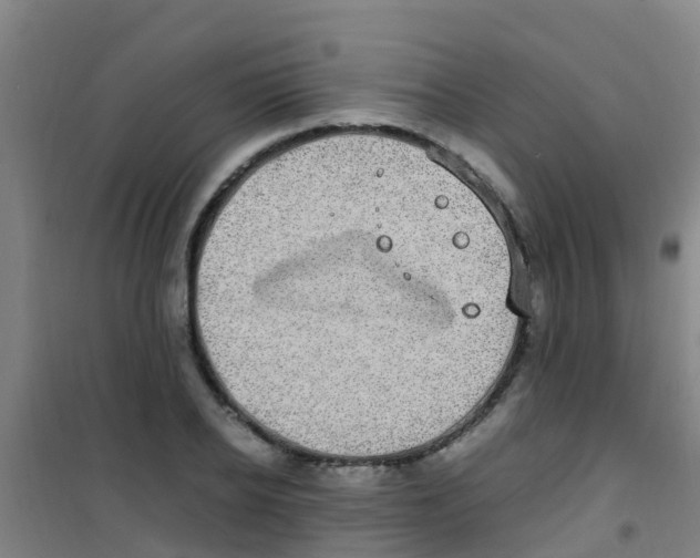 X0000100420934200807032057