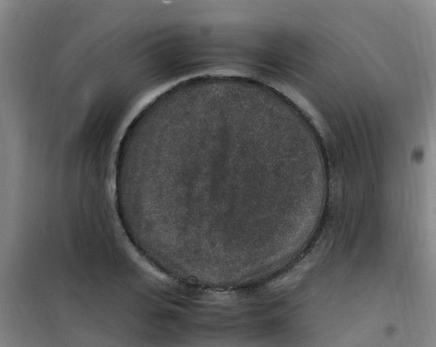 X0000100420935200807032057