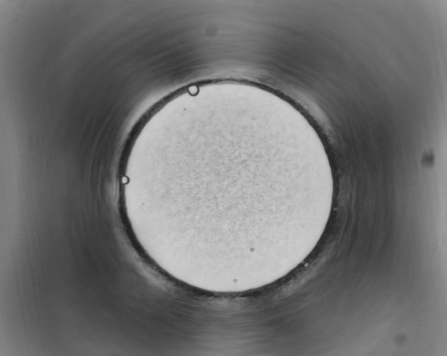 X0000100420936200807032057