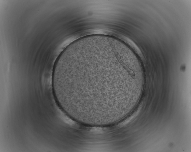 X0000100420938200807032058