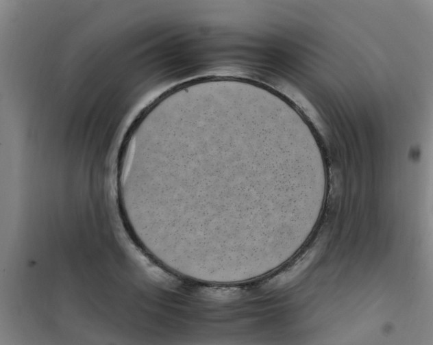 X0000100420939200807032058