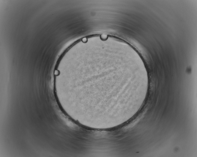 X0000100420940200807032058