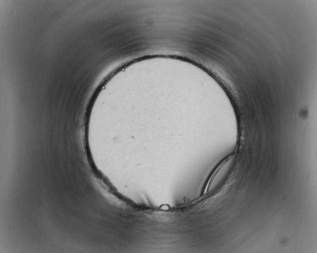 X0000100420942200807032058