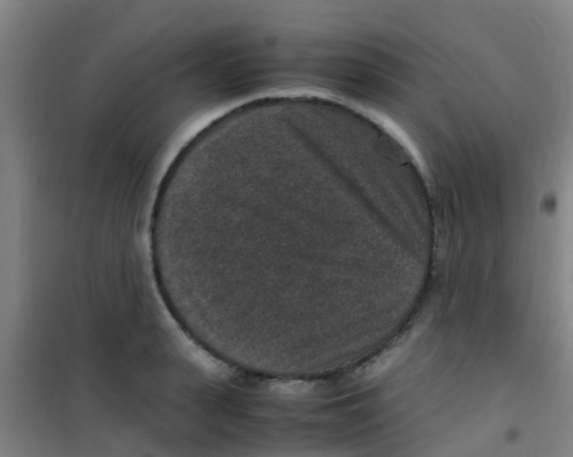 X0000100420943200807032058