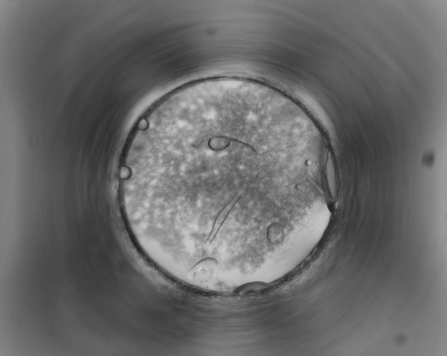 X0000100420944200807032058