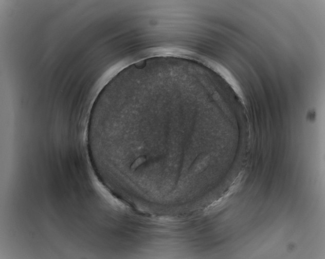 X0000100420946200807032058