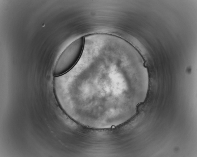 X0000100420948200807032058