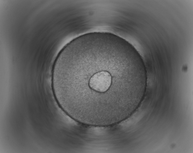 X0000100420950200807032058