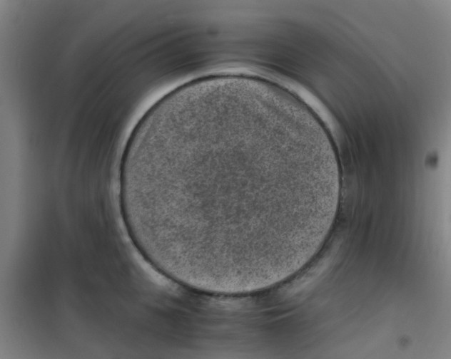 X0000100420951200807032058