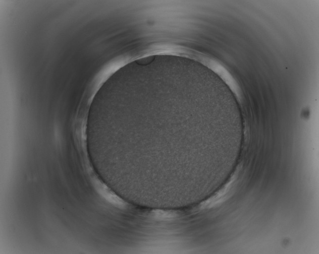 X0000100420954200807032058