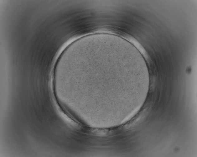 X0000100420955200807032058