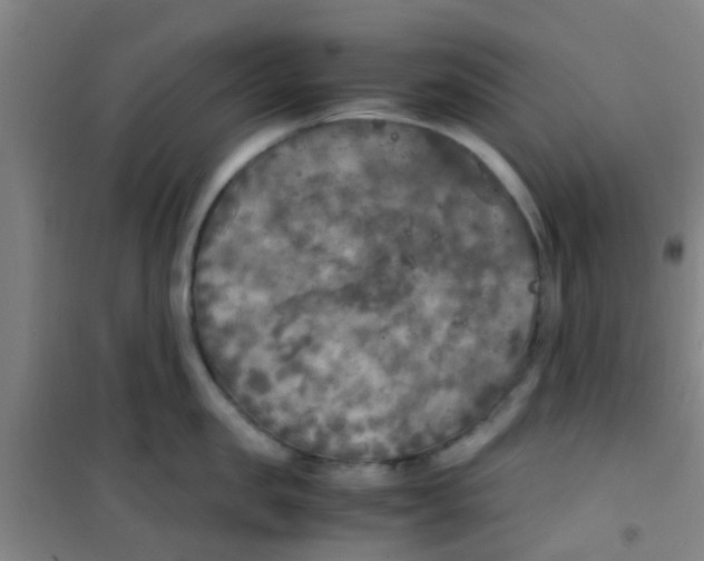 X0000100420957200807032058