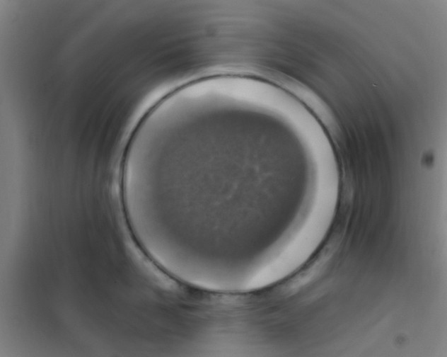 X0000100420958200807032058